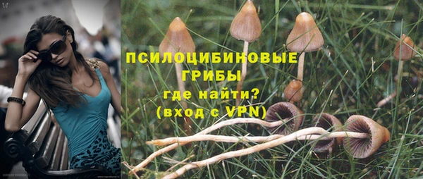 Альфа ПВП Абдулино