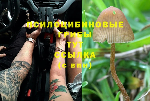 дурь Абинск